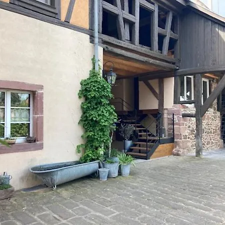 Joli 2 Personnes En Alsace Apartment