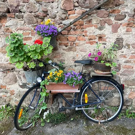 Joli 2 Personnes En Alsace * Guemar