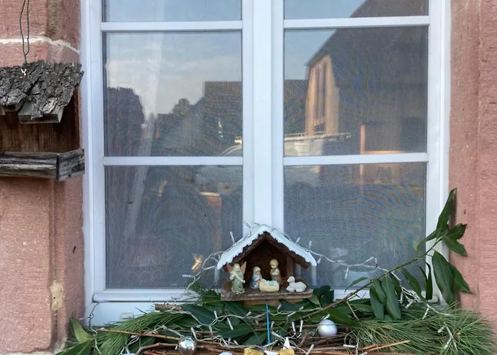 Lejlighed Joli 2 Personnes En Alsace *