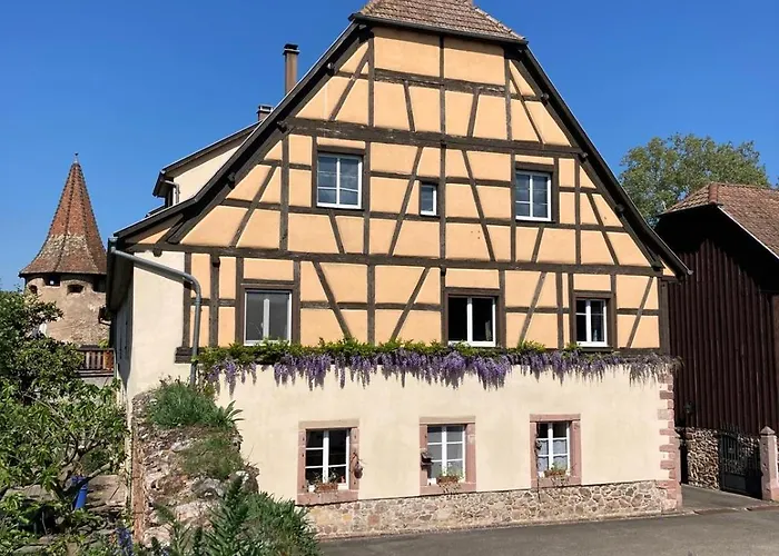 Joli 2 Personnes En Alsace * Guémar