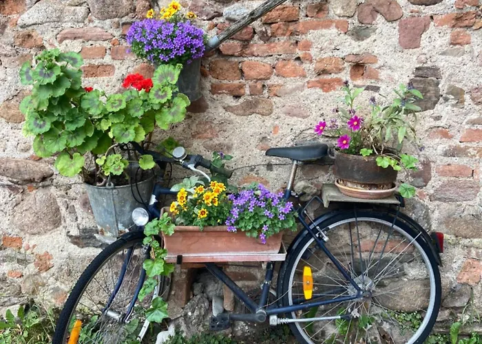 Joli 2 Personnes En Alsace * Guémar